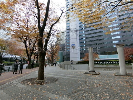 ビル敷地内風景