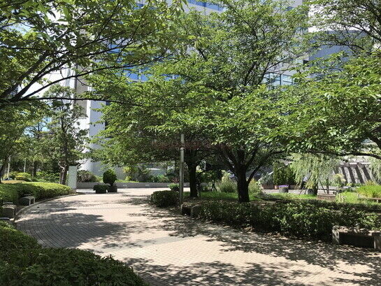 敷地内風景