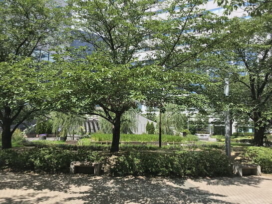 敷地内風景①
