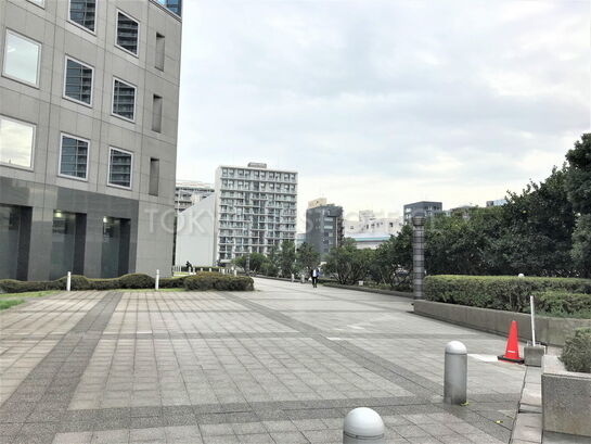 ビル敷地内風景③
