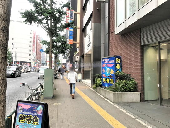 ビル周辺風景②