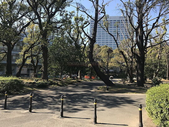 ビル周辺風景③