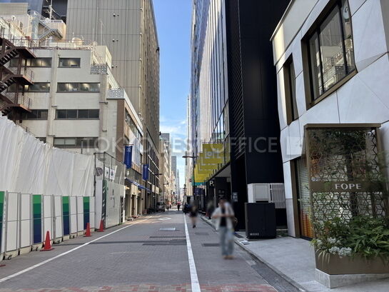 (銀座レンガ通り沿い)