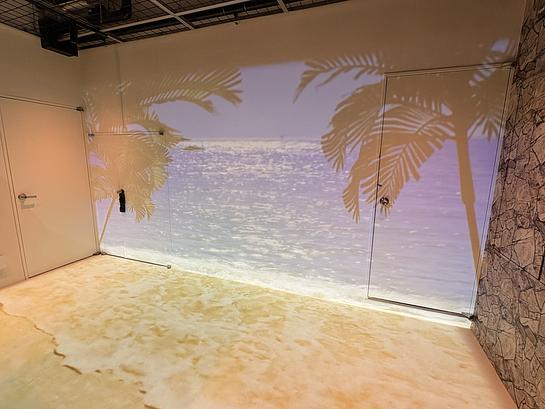 プロジェクションマッピング イメージ