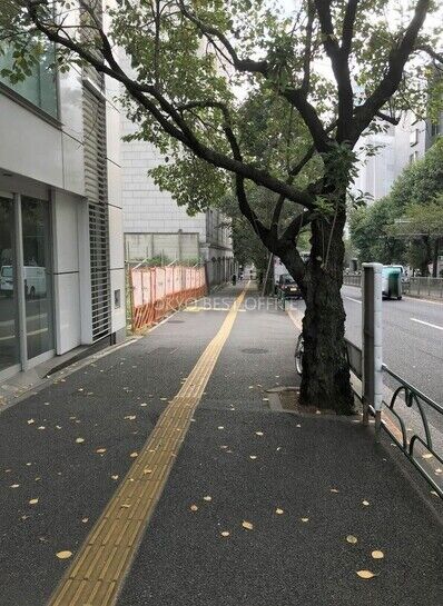 ビル周辺風景