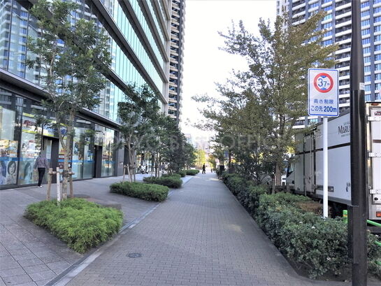 ビル周辺風景②