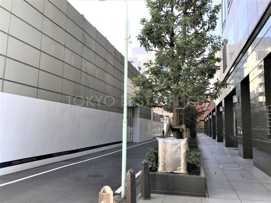 ビル周辺風景③