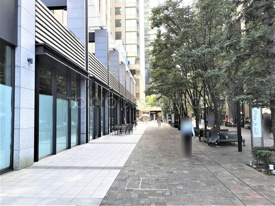 ビル周辺風景②