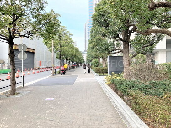 ビル周辺風景③