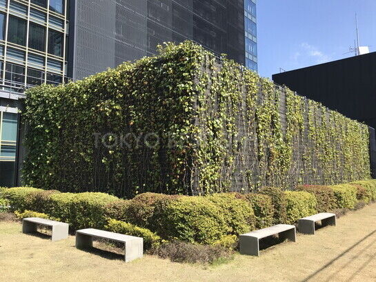 屋上緑化庭園⑦