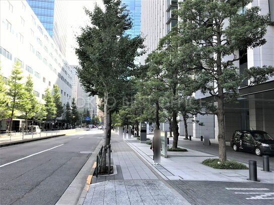 ビル周辺風景③