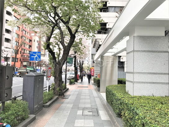 ビル周辺風景③