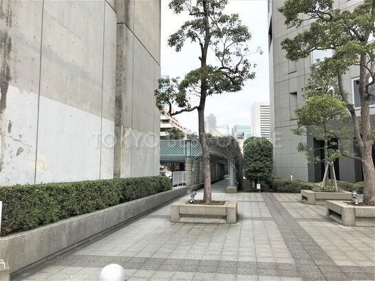 ビル敷地内風景④