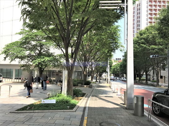 ビル周辺風景⑥