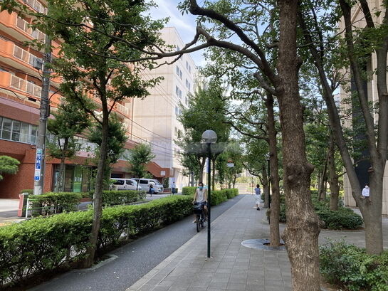 ビル周辺風景③