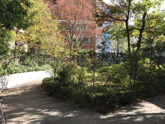 ビル周辺風景①