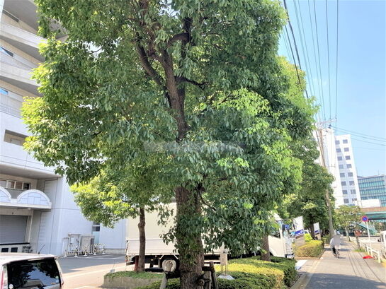 ビル周辺風景②