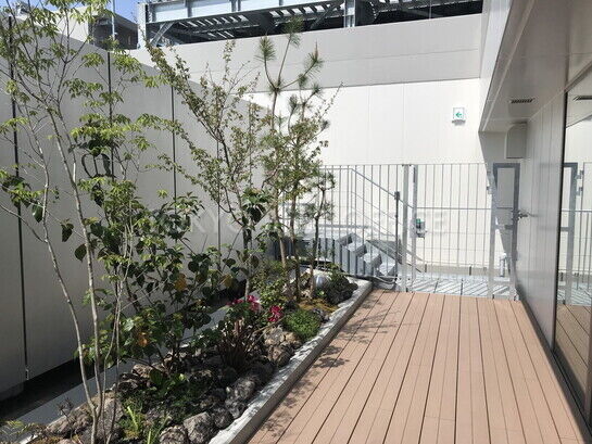屋上①