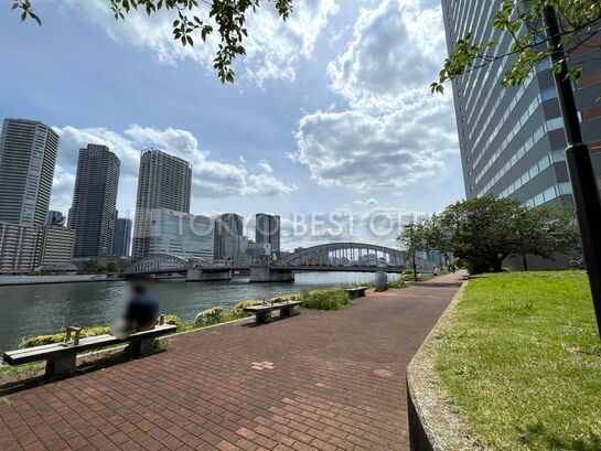 はとば公園から勝鬨橋を望む