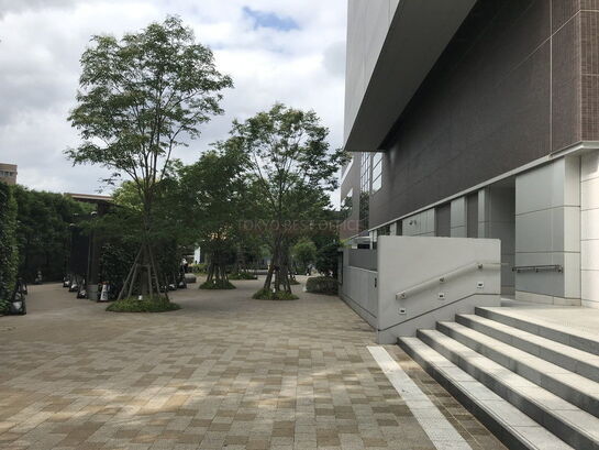 ビル周辺風景②