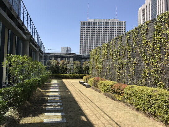 屋上緑化庭園④