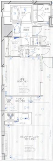 ダイナシティ浅草 3階301 平面図