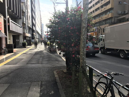 ビル周辺風景②