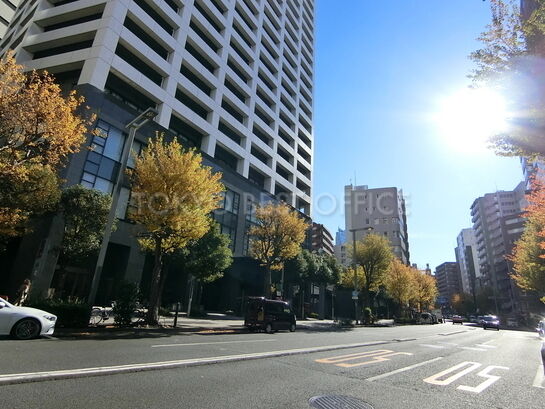 ビル周辺風景③