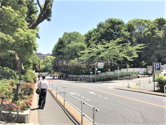 ビル周辺風景②