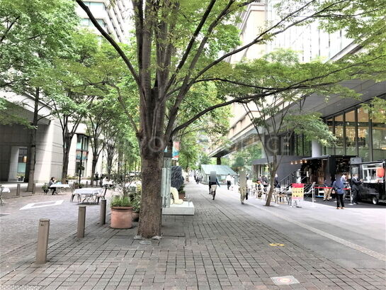 ビル周辺風景⑦