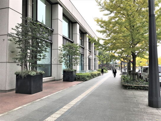 ビル周辺風景①