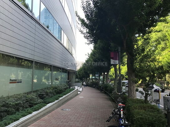 ビル周辺風景③