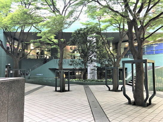 ビル敷地内風景①