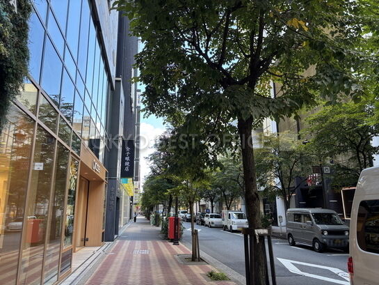 (銀座並木通り沿い)