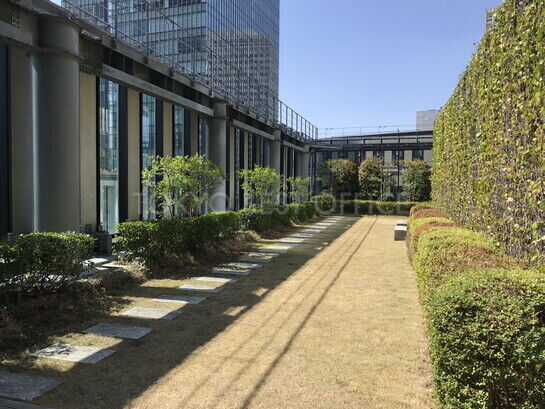 屋上緑化庭園③