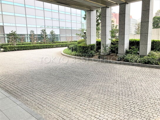 ビル敷地内風景④