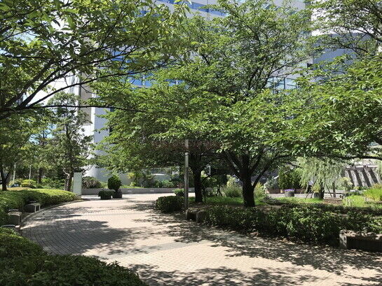 敷地内風景②