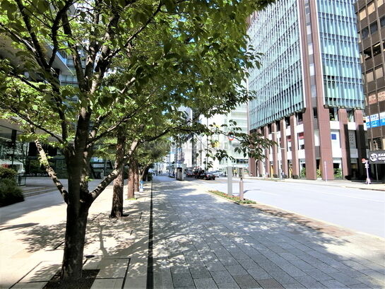 ビル周辺風景