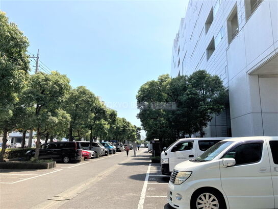 ビル周辺風景①