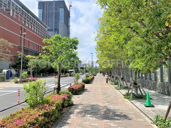 ビル周辺風景②