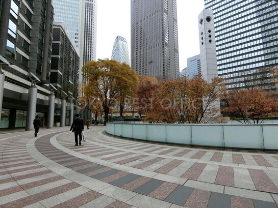 ビル敷地内風景