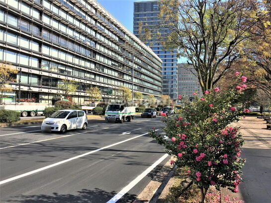 ビル周辺風景①