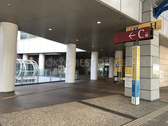 スカイウォーク③