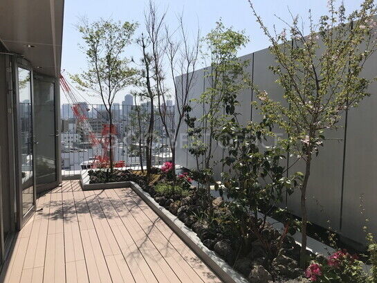 屋上②