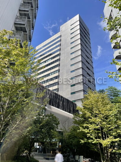 外観(裏通り側)