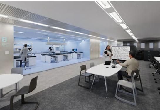 ※ラボイメージ