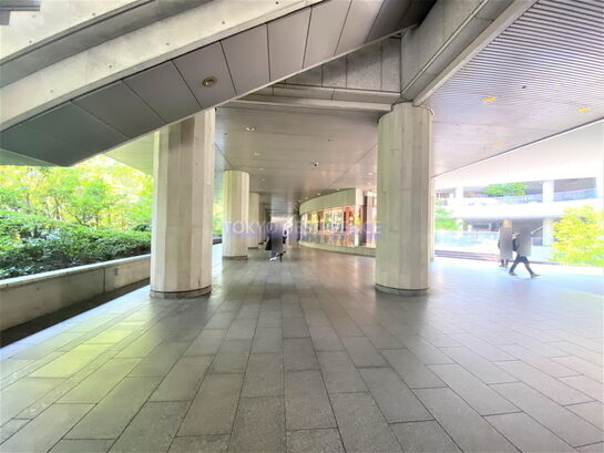 ビル敷地内風景②