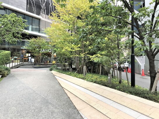 エントランス周辺①