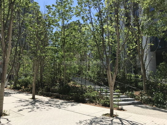 ビル周辺風景③