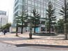 ビル周辺風景①